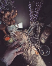 Image 1 of Butterfly dish