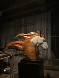 Image 1 of UNBRIDLED FREEDOM