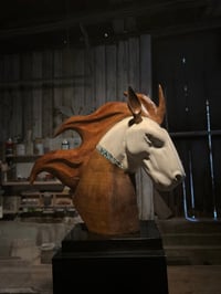 Image 2 of UNBRIDLED FREEDOM