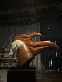 Image 4 of UNBRIDLED FREEDOM