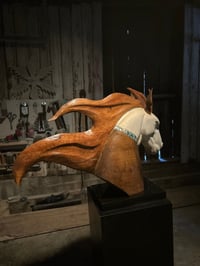 Image 5 of UNBRIDLED FREEDOM