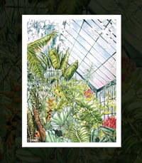 Image 1 of Serres, jardin botanique, aquarelle