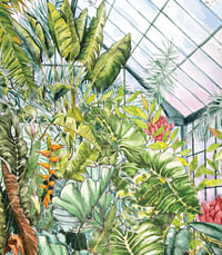 Image 2 of Serres, jardin botanique, aquarelle