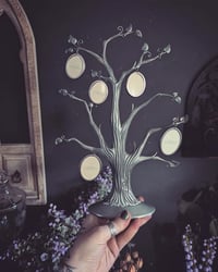 Image 1 of Spooky tree