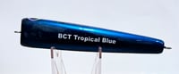 Image 2 of 40g Blue Back Diving Popper