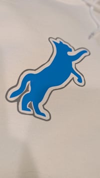 Image 3 of Detroit Lions lookalike hoodie
