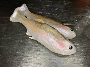 Image of 6” Bob’s Weedless Trout 2PK (Mt.Lassen)
