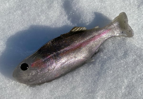 Image of 6” Bob’s Weedless Trout 2PK (Mt.Lassen)