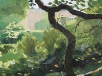 The Met from Central Park study