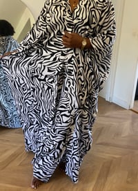 Zebra set