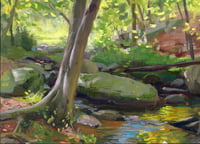 Woodland stream study