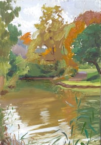 Harlem Meer, pond study 2
