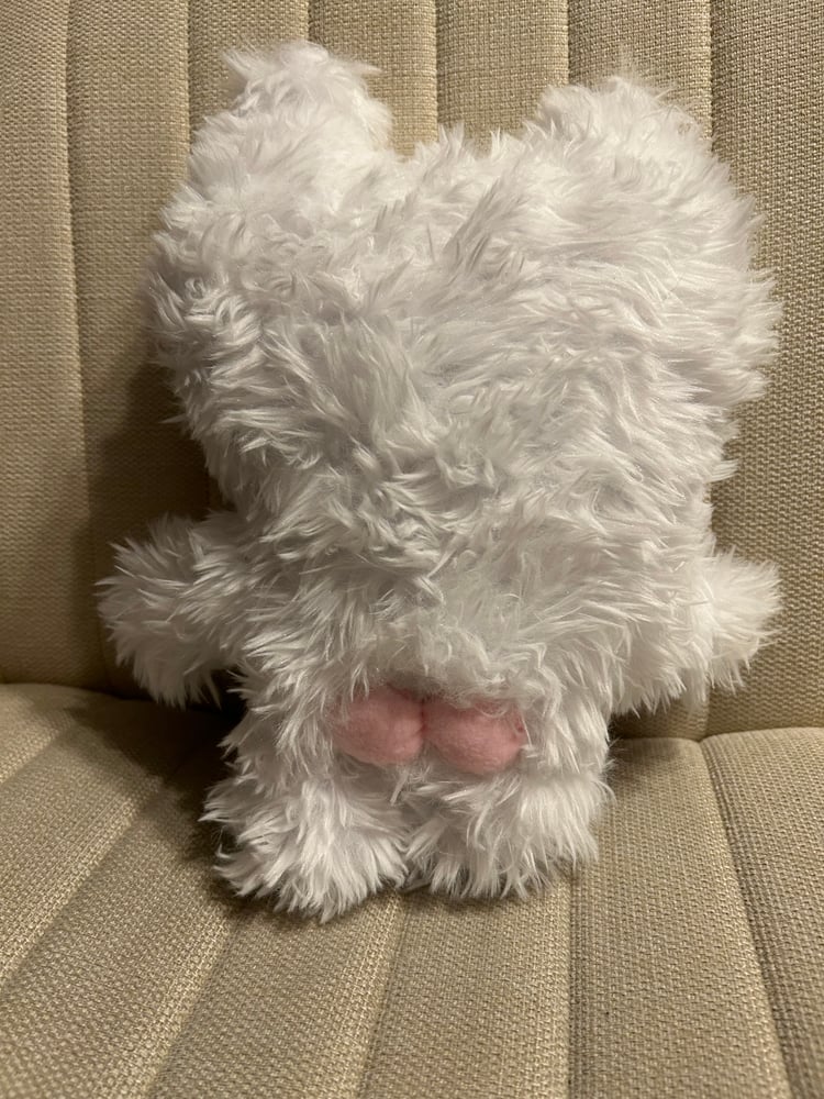 Image of Snow Gibbie 