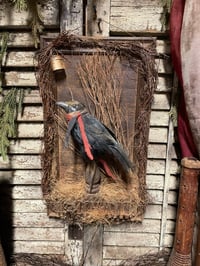 Image 1 of #3... He Remembers ~