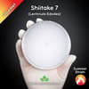 Shiitake 7 (Lentinula Edodes) Live Mycelium Mushroom Culture Spawn Seed