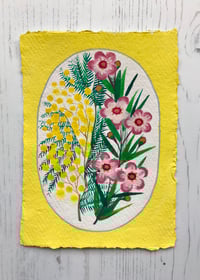Mimosa & Waxflowers