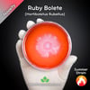 Ruby Bolete (Hortiboletus Rubellus) Live Mycelium Mushroom Culture Spawn Seed