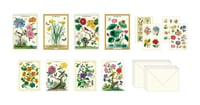 Image 4 of Cavallini & Co. Floreale Stationery Set