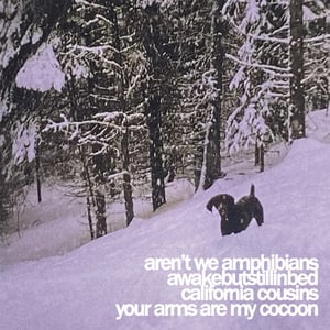 Image of We Aren't Amphibians / Awakebutstillinbed / California Cousins / YAAMC - Split 7" PRE-ORDER
