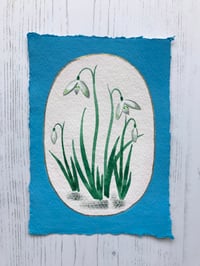 Snowdrops 