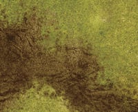 Image 2 of Mixed Ground Caribbean Beachhead - #2460 - 6’ x 4’ plus 