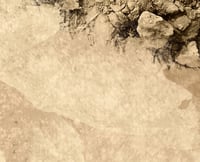 Image 3 of Mixed Ground Caribbean Beachhead - #2460 - 6’ x 4’ plus 
