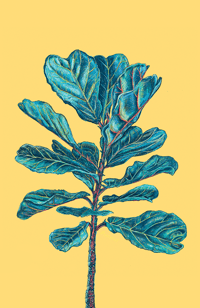 Image 3 of Fiddle-Leaf Fig Greeting Card