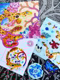 Image 2 of September '24 Giant Manta Ray Guild Bundle