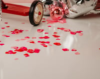 Image 6 of Valentines Day CONFETTI Minis 