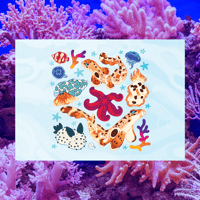 September Epaulette Shark 5"x7" Fine Art Print