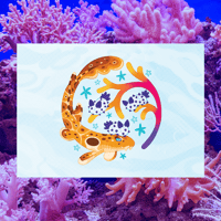 September Epaulette Shark and Sea Bunnies 5"x7" Fine Art Print