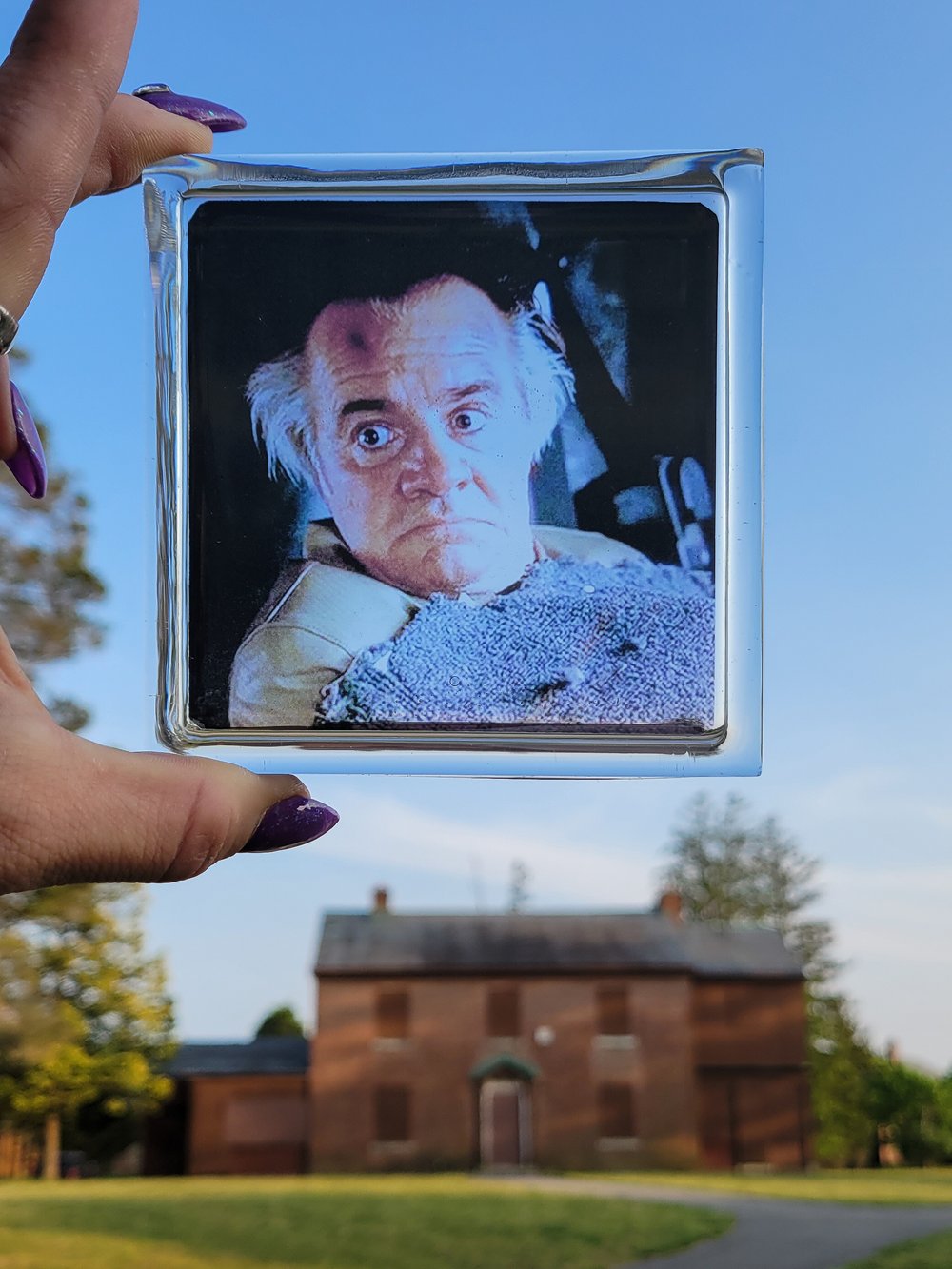 Image of Paulie Walnuts Translucent Square Coasters π€