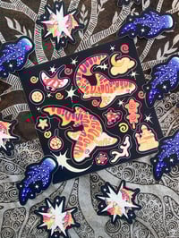 Image 2 of November '24 Coelacanth Collector Bundle
