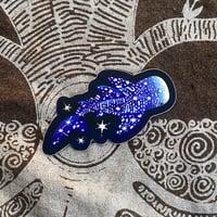 Image 4 of November '24 Coelacanth Collector Bundle