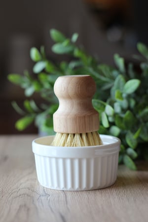 Image of Solid Dish Soap Set and Refills