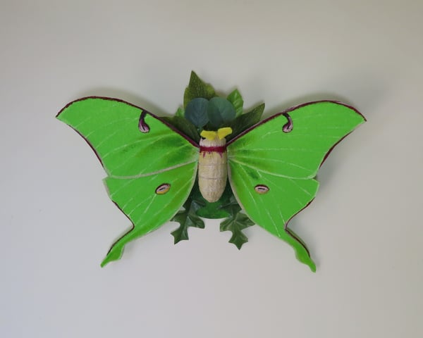 Image of Luna Moth Wall Art