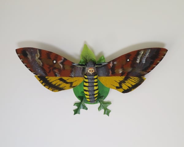 Image of Death's Head Moth Wall Art