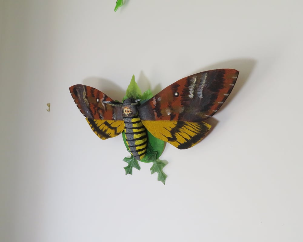 Image of Death's Head Moth Wall Art
