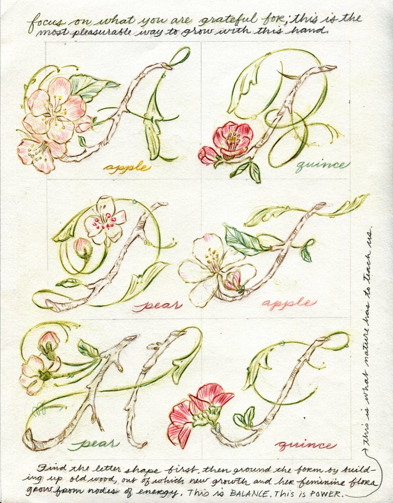 Image of Flora & Francis Forest Script Exemplars v 2.0