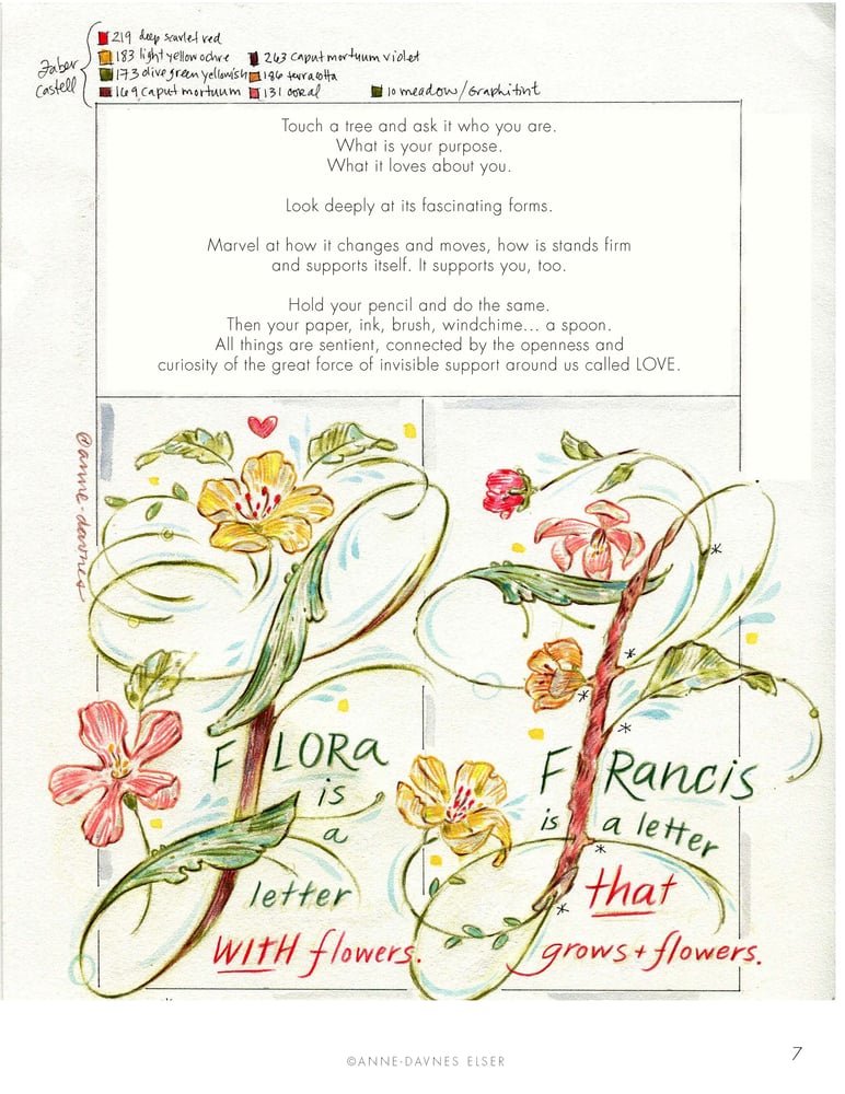 Flora & Francis Forest Script Exemplars v 2.0 / AnneElserShop