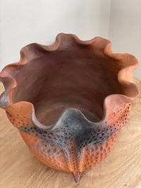 Image 5 of Tecolote Pot