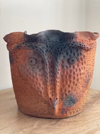 Image 1 of Tecolote Pot