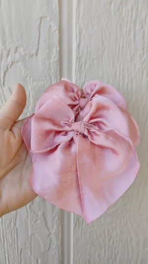 Image of Coral clip silky bow