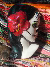 Image 3 of Hibiscus Catrina #2. 