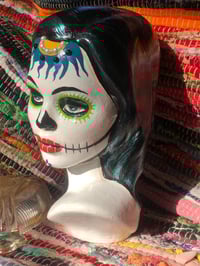 Image 1 of Hibiscus Catrina #2. 