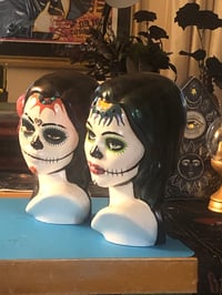 Image 5 of Hibiscus Catrina #3