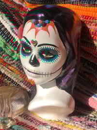 Image 1 of Hibiscus Catrina #3