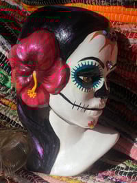Image 2 of Hibiscus Catrina #3