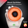 Black Earthfan (Thelephora Cuticularis) Live Mycelium Mushroom Culture Spawn Seed