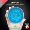 Trianum (Trichoderma Harzianum T22) Live Mycelium Mushroom Culture Spawn Seed